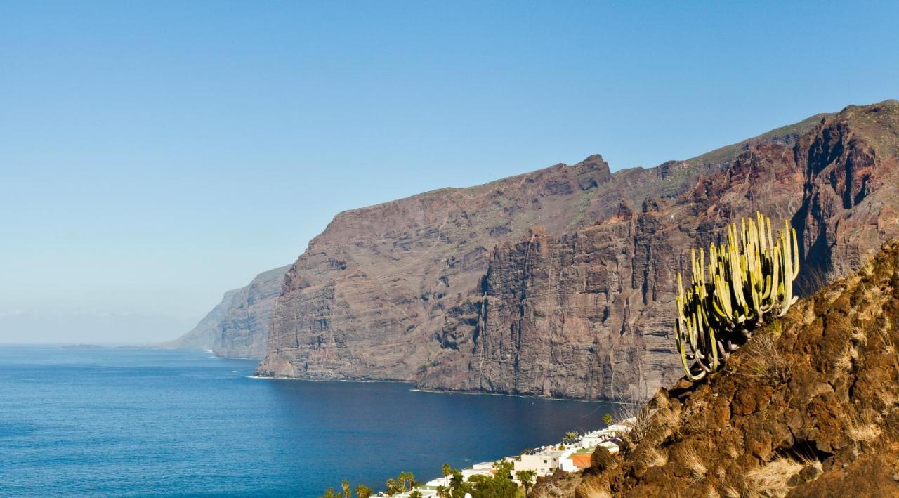 Green Cactus Cosy Loft, Wifi & Gym Santa Cruz de Tenerife Zewnętrze zdjęcie